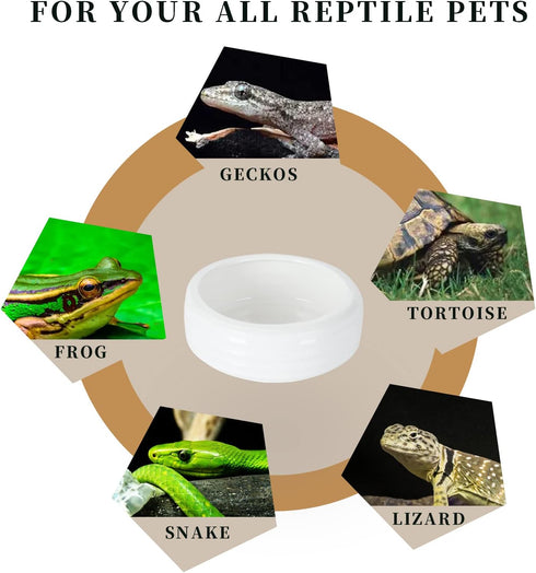 Reptile Food Bowls -Ceramic Round Reptile Water Food Dish, Pet Food Bowl for Lizards, Small Snakes, Young Bearded Dragons, Gecko Tortoise Spider (...