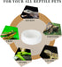 Reptile Food Bowls -Ceramic Round Reptile Water Food Dish, Pet Food Bowl for Lizards, Small Snakes, Young Bearded Dragons, Gecko Tortoise Spider (...