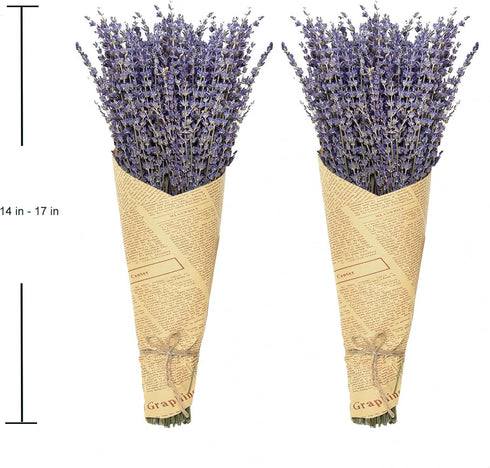 Timoo Dried Lavender Bundles 100 Natural Dried Lavender Flowers for Home Decoration, Photo Props, Home Fragrance, 2 Bundles Pack...