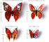 Amaonm® 60 Pcs 5 Packages Beautiful 3D Butterfly Wall Decals Removable DIY Home Decorations Art Decor Wall Stickers & Murals for Babys Bedroom Tv ...