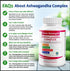 1 Body Ashwagandha Complex with Shoden® – Clinically Supported Stress Relief, Sleep, and Energy Support – Vegan, Non-GMO Supplements – 60 Capsules...