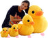 Bansusu 30CM Plush Yellow Duck Soft Stuffed Animal Toy Sofa Decoration for Kids Birthday...
