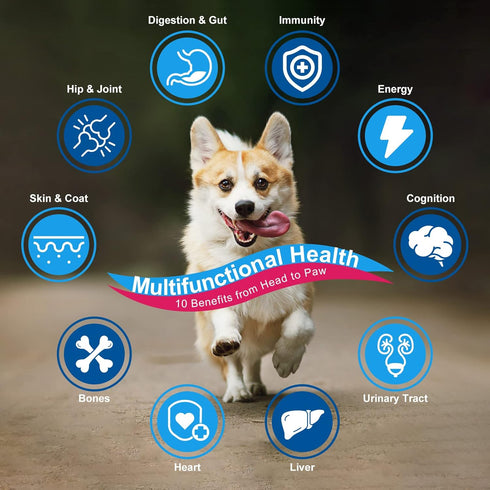 Dog Vitamins Powder, Probiotics & Digestive Enzymes for Gut Health, Glucosamine & Chondroitin & Omega 3, Complete Supplement for Homemade Dog Food...