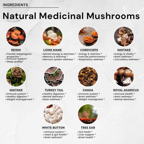 ACEWORKZ 10 Mushroom Complex Supplement - Lion’s Mane, Reishi, Cordyceps & More - Brain Health, Memory & Focus Nootropic - Energy & Immune Support...