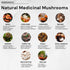 ACEWORKZ 10 Mushroom Complex Supplement - Lion’s Mane, Reishi, Cordyceps & More - Brain Health, Memory & Focus Nootropic - Energy & Immune Support...