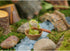Top Collection Miniature Fairy Garden and Terrarium Frog Rowing Boat Figurine, Green...