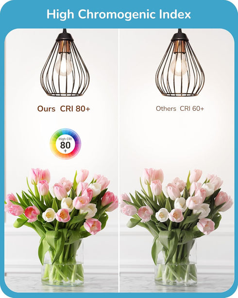 EDISHINE 6 Pack LED Edison Bulbs, A19 Dimmable LED Light Bulb, 800LM 4000K Cool White Light, 240° Beam Angle & E26 Base, 8W Equivalent 60W, Decora...