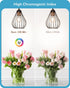 EDISHINE 6 Pack LED Edison Bulbs, A19 Dimmable LED Light Bulb, 800LM 4000K Cool White Light, 240° Beam Angle & E26 Base, 8W Equivalent 60W, Decora...