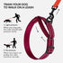 CollarDirect Reflective Martingale Dog Collar Nylon Heavy Duty Training Pet Collars for Small Medium Large Dogs Puppy Black Blue Mint Green Red Pi...