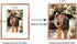 Golden State Art, Rose Gold 8x10 Aluminum Frame for 8 x 10 Picture or 5x7 Photo with Mat - Shatter - Resistant Glass - Wall or Tabletop Display - ...