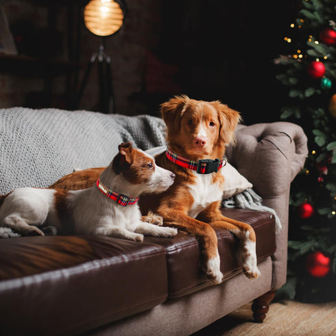 Christmas Plaid Dog Collar, Cute Adjustable Red Collar for Boy and Girl Dogs, Dog Collar with Strong Plastic Buckle - for Small Medium Large Pets,...