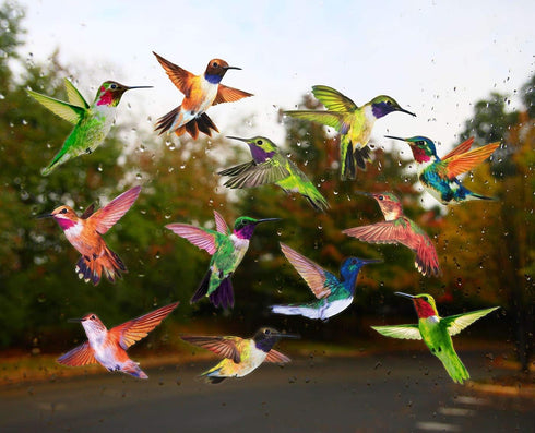 Anti-Collision Window Clings Bird Alert Collision Decals to Prevent Bird Strikes on Window Glass - Set of 12 Hummingbirds...