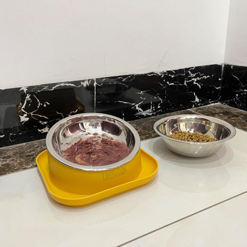 Tilted Cat Food Bowls, Cat Feeding Bowls Whisker Friendly, Raised Cat Bowls for Indoor Cats, Slanted Flat Plastic Feeder Elevated Angled Design, 3...