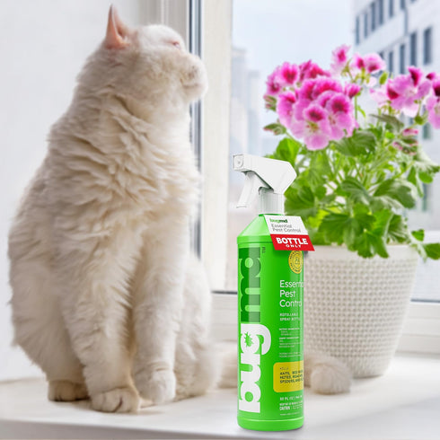 BugMD Empty Refillable Spray Bottle 32 oz. for Use Pest Control Essential Oil Concentrate (Sold Separately), Spray Bottle with 3 Sprays Modes...