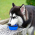 Portable Pet Travel Dog Bowls, 2 Pack Convenient Collapsible Dog Bowls, Small Pet Slow Feeder Design for Dogs Cats Feeding Watering with 2 carabin...