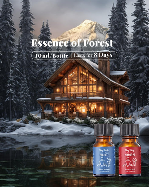 VTS Waterless Diffuser with Hotel Scent Essential Oils Set, Top 6 Aromatherapy Oil Blends for Diffusers, Essential Oil Diffuser Gift Set, Home Fra...