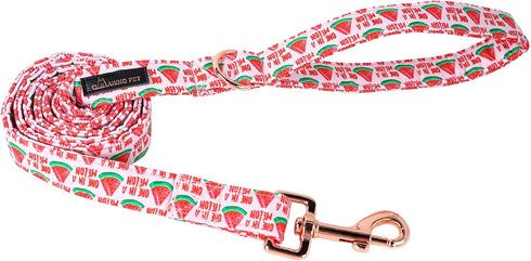 ARING PET Summer Dog Leash, Pink Watermelon Dog Leashes Matching Dog Collars, Cotton Handmade Walking Dog Leash for Small Medium Large Dogs and Ca...