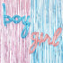 Gender Reveal Decoration Set - Metallic Fringe Curtains + BOY Girl Foil Balloons Gender Reveals Party Photo Backdrop (Pink/Blue)...