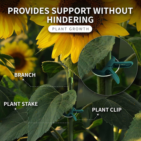 RamPro 80 Piece Green Gentle Gardening Plant & Flower Lever Loop Gripper Clips, Tool for Supporting or Straightening Plant Stems, Stalks, and Vine...