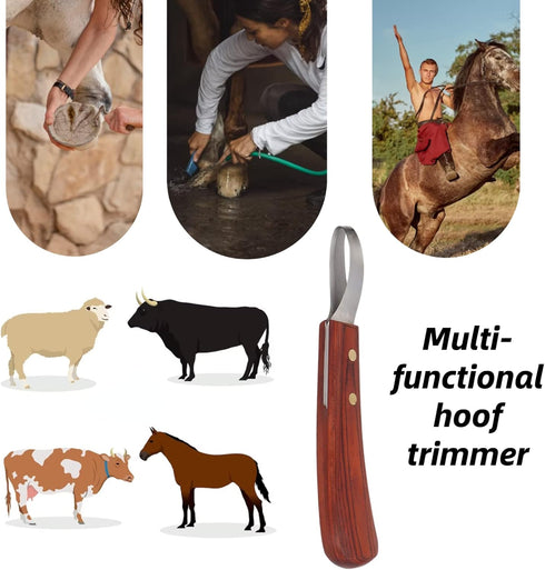 Hoof Knife, Stainless Steel Blade Curved Farrier Horse Hoof Trimmer with Non Slip Rubber Wood Handle, Multipurpose Hoof Loop Trimming Knife, for H...