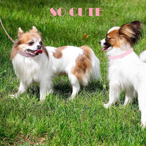 Pink Series Dog Collars, Adjustable Collars with Bling Rhinestone Crystal Diamond Spike Rivet Colorful Flowers for Xsmall Small Medium Dog Cat Pup...