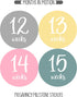 Pregnancy Weekly Belly Growth Stickers, 36 pcs - Purple Pink, Matte Finish, Cloth Surface, for Maternity Photo Sessions & Keepsakes...