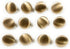 12 Matte Gold Buttons ' for, Blouses, Shirts Etc. (12 Buttons 1/2'' 13mm) Satin Nugget Gold...