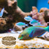 6 Pieces Aquarium Shrimp Feeding Dish Glass Fish Clear Small Feeding Bowl Food Bowl,Pet Water Tray Feeding Cup...