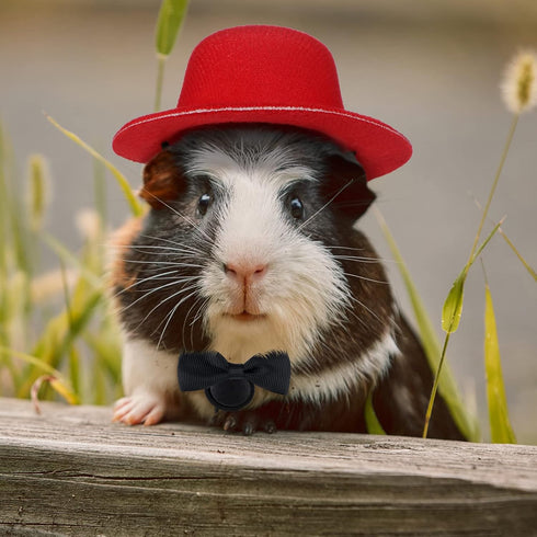 4 Sets 8 Pieces Guinea Pig Clothes Small Animal Bow Ties Pet Hats Outfit Suit Cosplay Cool Kawaii Pet Black Hat for Hamster Ferret Cat Rats Puppy ...