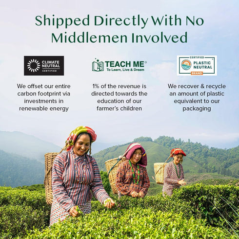 VAHDAM, Pure Mint Herbal Tea (100 Pyramid Tea Bags) Caffeine Free, Non GMO, Gluten Free | Blend of Spearmint & Peppermint - Sweet & Minty | Reseal...