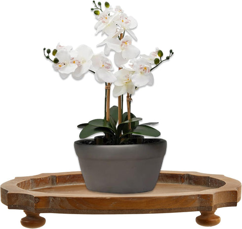 SOFE Mini Wood Plant Stands Indoor - Table Top Plant Stand - Fit 5-10 Inch Variety Flower Pot Stand Plants Shelf - Wooden Plant Stool Riser - Disp...