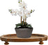 SOFE Mini Wood Plant Stands Indoor - Table Top Plant Stand - Fit 5-10 Inch Variety Flower Pot Stand Plants Shelf - Wooden Plant Stool Riser - Disp...
