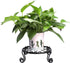 Black Plant Stand for Flower Pot Heavy Duty Potted Holder Indoor Outdoor Metal Rustproof Iron Garden Container Round Supports Rack for Planter Bro...