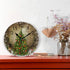 Wamika Wall Clock Christmas Tree Clock Silent Non Ticking Round Wall Clocks Decorative, Winter Rustic Wooden New Year Clocks 10 Inch Battery Opera...