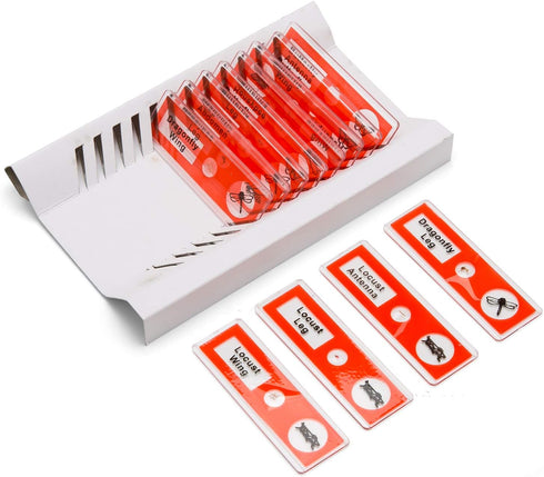 48pcs Kids Plastic Prepared Microscope Slides of Animals Insects Plants Flowers Sample Specimens for Microscopes...