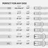 CollarDirect Rolled Leather Dog Collar, Soft Padded Round Puppy Collar, Handmade Genuine Leather Collar Dog Small Large Cat Collars 13 Colors (18-...