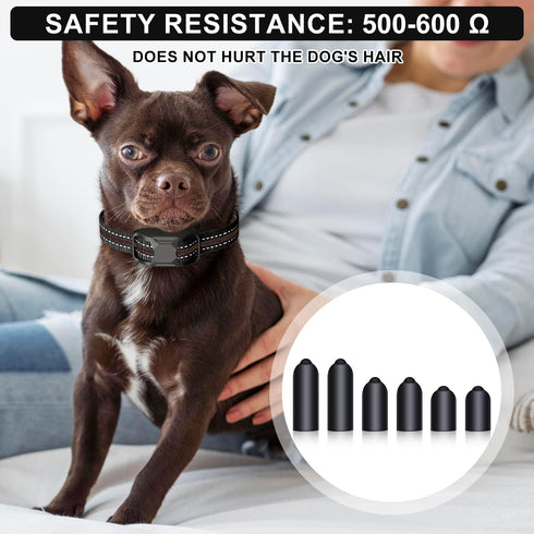 30pcs Dog Shock Collar Rubber Tips, Rubber Tips Dog Shock Collar Replacement Training Collar Replacement Tips for Pet Dog Training Collars...