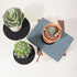 Plant Saucers for Indoors, 6PCS Round Felt Plant Mat Reversible Fabric Coaster Mat Absorbent Waterproof Plant Pot Saucers for Gardening, Indoor an...