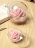 Clear Plastic Fillable Ornaments Ball, DIY Ornaments for Christmas, Wedding, Party, Home Decor (120mm/5pcs)...