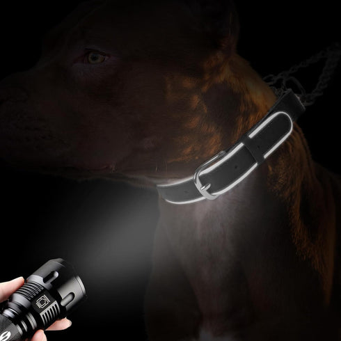 OOPSDOGGY Reflective Leather Martingale Dog Collar - Adjustable No Pull Stainless Steel Chain Training Collar for Small Medium Large Dogs Puppy (C...