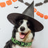 Halloween Dog Collar, Soft Comfy Halloween Themed Dog Collar with Spooky Ghost Skull Bat Cat Witch Tree Hat Pumpkin Pattern Halloween Dog Collar f...
