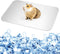 Bunny Cooling Pad Rabbit Hamster Cooling Mat Chinchillas Cooling Pad Aluminum Silver Metal Summer Cooling Mat for Hamster Bunny Guinea Pig and Oth...