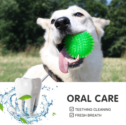SHARLOVY Squeaky Balls for Dogs Small, Fetch Balls for Dogs Rubber 3 Pack Bright Colors TPR Puppy Toys Dog Toy Balls Dog Squeaky Toys Spike Ball D...
