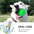 SHARLOVY Squeaky Balls for Dogs Small, Fetch Balls for Dogs Rubber 3 Pack Bright Colors TPR Puppy Toys Dog Toy Balls Dog Squeaky Toys Spike Ball D...