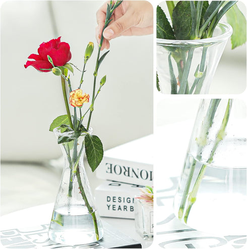 Haoideo Avocado Seed Sprout Starter Vase Planter Pot Glass Avocado Tree Plant Growing Vase Kit Indoor Home Decor Hydroponic Tabletop Flower Pot fo...