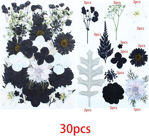 Cayway 2 Pack Dried Pressed Flowers for Resin Molds, Black Real Pressed Flowers Dry Leaves Kit Natural Dried Pressed Leaves for Art Crafts Resin S...