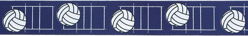 Ribbli Grosgrain Volleyball Craft Ribbon,7/8-Inch x 10-Yard,White/Black/Blue...