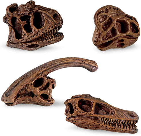 Safari Ltd Dinosaur Skulls TOOB - 11 Mini Figurines Including Velociraptor, Brachiosaurus, Oviraptor, Triceratops, Tyrannosaurus Rex and More - Ed...