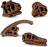 Safari Ltd Dinosaur Skulls TOOB - 11 Mini Figurines Including Velociraptor, Brachiosaurus, Oviraptor, Triceratops, Tyrannosaurus Rex and More - Ed...