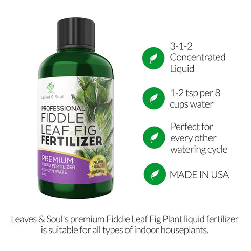 Professional Liquid Fiddle Leaf Fig Plant Fertilizer | 3-1-2 Concentrate for House Plants | Multi-Purpose Blend & Gardening Supplies | 8 oz Bottle...